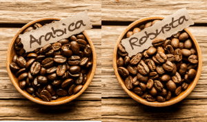 difference between arabica and rebusta